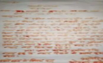 जमीन विवाद में नहीं मिला न्याय, 70 साल की महिला ने खून से लिखा राष्ट्रपति को पत्र