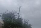 Yellow alert issued in Chhattisgarh, child dies due to lightning, Rajnandgaon is the hottest