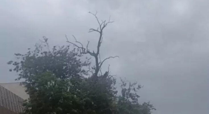 Yellow alert issued in Chhattisgarh, child dies due to lightning, Rajnandgaon is the hottest