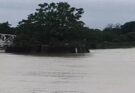 Situation worsened due to torrential rains in Chhattisgarh, threat of flood in 12 districts