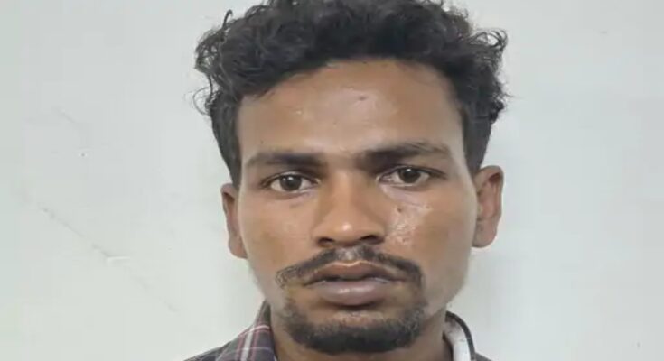 Three brothers killed a young man in a card dispute, one arrested