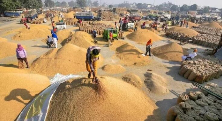 Now the money for paddy purchase will be directly transferred to the farmers account