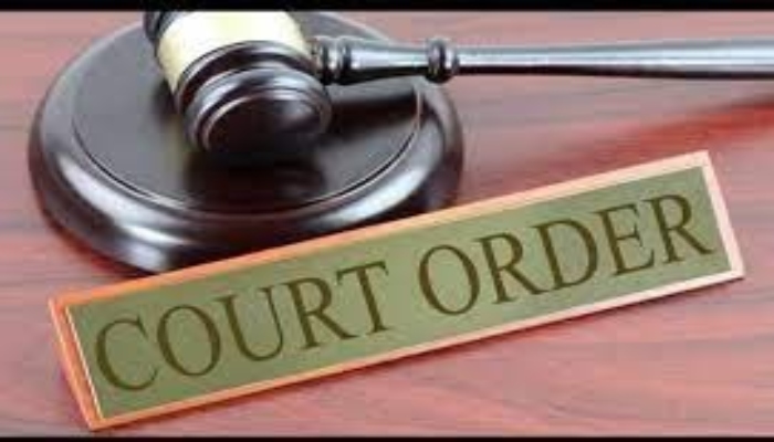 Raipur Municipal Corporation, Supreme Court Order, Stray Dogs, Dog Feeding Zone, Animal Welfare, Sterilization, Vaccination, Public Safety, Civic Responsibility,