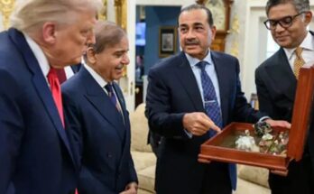 Pakistan, Army Chief Asim Munir, Shahbaz Sharif, Donald Trump, rare minerals, salesman, political uproar, Parliament, Aimal Wali Khan, joint session, Washington visit, dictatorship, democracy, mineral wealth,