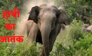 Elephant attack, Balrampur, Wadrafnagar forest range, Madanpur village, Chataniya jungle, human-wildlife conflict, wild elephants, farmer crops damage, forest department, villagers panic,