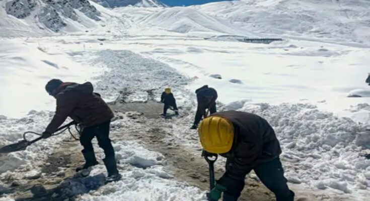 Cold wave intensifies in North India, snowfall in the Himalayas impacts the plains