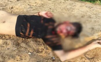 Gang war over black liquor in Bilaspur: Youth killed with sticks, attacked due to price dispute