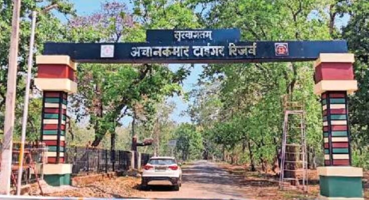 Achanakmar Tiger Reserve will open for tourists from November 1st, with exciting safaris available in the morning and evening.