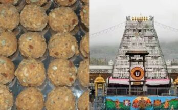 Tirupati Temple, Fake Ghee Scam, TTD, AV Dharma Reddy, YV Subba Reddy, Chinna Appanna, Laddu Prasadam, Andhra Pradesh, Supreme Court Inquiry, SIT Investigation, Palm Oil Adulteration, Industrial Chemicals, 250 Crore Scam, Fake Ghee Supply,