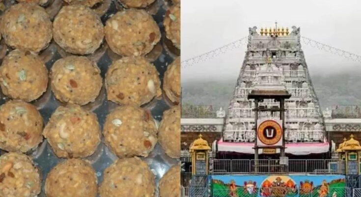 Tirupati Temple, Fake Ghee Scam, TTD, AV Dharma Reddy, YV Subba Reddy, Chinna Appanna, Laddu Prasadam, Andhra Pradesh, Supreme Court Inquiry, SIT Investigation, Palm Oil Adulteration, Industrial Chemicals, 250 Crore Scam, Fake Ghee Supply,
