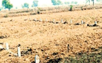 Chhattisgarh land rates, revenue department order, land valuation, land conversion, Vishnu Deo Sai, premium rate revision, industrial land, residential land, land reform policy, Raipur news, transparent governance,