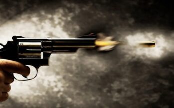 Surat woman forest officer murder, husband arrested, Sonal Solanki case, Nikunj Solanki inspector, GPS tracking complaint, South Gujarat crime, gunshot injury, CCTV footage evidence, police investigation Gujarat,