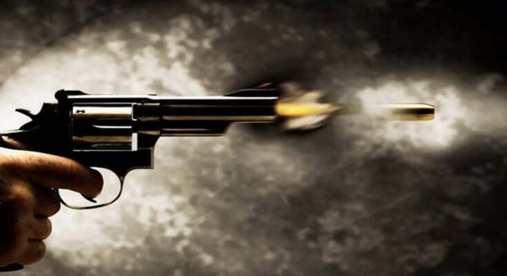 Surat woman forest officer murder, husband arrested, Sonal Solanki case, Nikunj Solanki inspector, GPS tracking complaint, South Gujarat crime, gunshot injury, CCTV footage evidence, police investigation Gujarat,