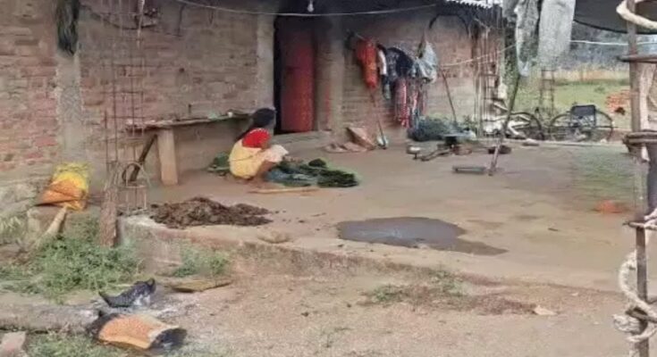 Gariaband Incident, Child Deaths, Superstition, Fake Treatment, Quack Doctor, Fever Case, Health Negligence, Dhanora Village, Chhattisgarh Health System, CMHO Investigation,