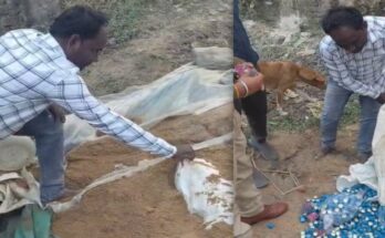 fake liquor, jaggery factory, Kavardha, illegal alcohol production, police raid, Nandkumar Kurre, former sarpanch, arrested, liquor making materials, bottles, caps, labels, jerricans, cans, chemicals, packing machine, supply network, inter-state connections, mastermind,