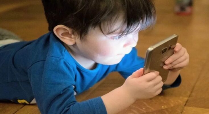 Rajasthan High Court, Mobile Usage Rules, SIM Card Limit, Cyber Crime Prevention, R4C Rajasthan, Digital Arrest, Social Media Guidelines, Children Mobile Restriction, India Cyber Security, Mule Hunter AI Tool, Banking Fraud Prevention, Fintech Regulation, Jodhpur High Court,