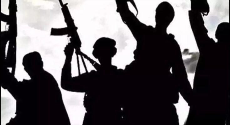 Terror plot busted in Raipur: Two teenagers linked to ISIS module arrested