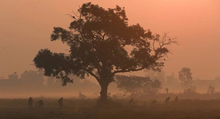 Five states, including MP, are reeling under a cold wave; temperatures intensify in Uttar Pradesh, Bihar, and Delhi.