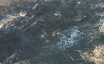 Bhilai murder, Vijay Bandhe, Urmila Nishad, chopper attack, body burnt, girlfriend murder, catering dispute, Supela police station, money fight,