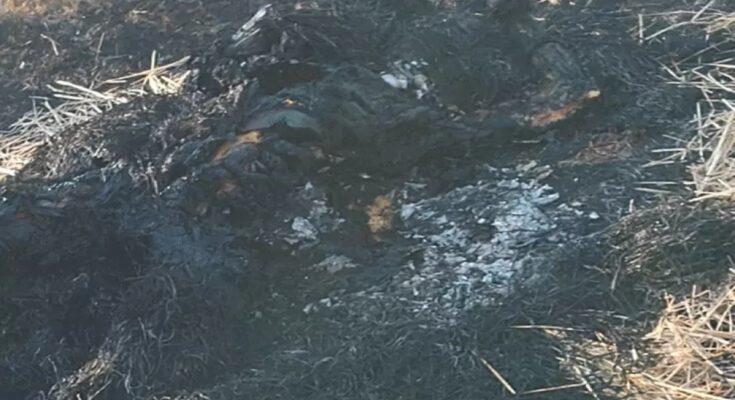 Bhilai murder, Vijay Bandhe, Urmila Nishad, chopper attack, body burnt, girlfriend murder, catering dispute, Supela police station, money fight,