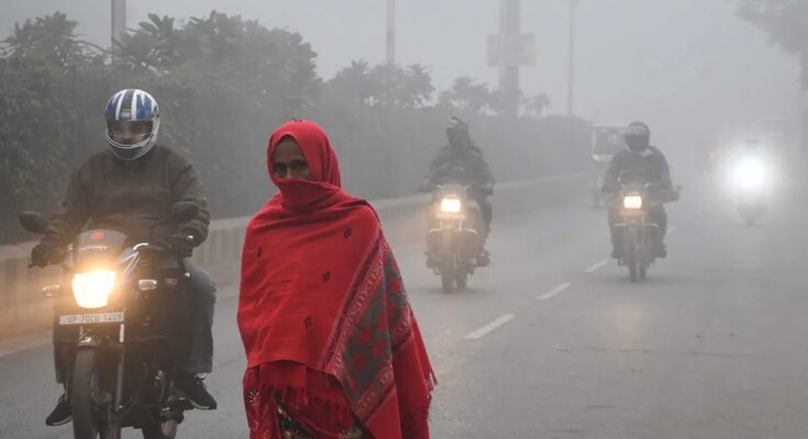 Fog, Cold Wave, Dense Fog, North India Weather, Delhi Red Alert, IMD Alert, Uttar Pradesh Weather, Haryana Weather, Punjab Weather, Train Delay, Flight Cancelled, Poor Visibility, Winter Season, Weather Update,