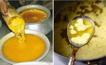 Fake Ghee, Adulteration Racket, Jaipur Police, Duplicate Brands, Saras, Amul, Lotus, Manufacturing Unit Busted, Food Safety,