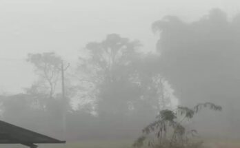 Chhattisgarh Weather, Cold Wave Alert, Temperature Drop, Winter Season, Raipur Weather, Dense Fog, Meteorological Department, North Chhattisgarh,