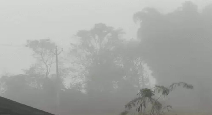 Chhattisgarh Weather, Cold Wave Alert, Temperature Drop, Winter Season, Raipur Weather, Dense Fog, Meteorological Department, North Chhattisgarh,