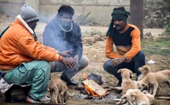 Delhi Cold Day 2026, Cold Wave in North India, Dense Fog Alert, Winter Weather India, IMD Weather Update, Shit Diwas Delhi, Delhi NCR Cold Weather, Uttar Pradesh Cold Wave, Madhya Pradesh Weather, Snowfall in Kashmir, Himachal Pradesh Snowfall, Uttarakhand Weather, Flight Delay Due to Fog,