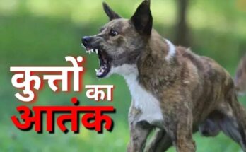G Dog Bite Cases, Raipur Dog Bite Hotspot, Stray Dog Menace, Rabies Risk India, Animal Birth Control Failure, Public Health Crisis CG, Dog Bite Statistics, IDSP Data, Raipur News,