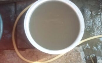 The colony in the capital city is in a terrible state; a pipeline runs through the middle of a drain in Sejbahar, and taps are spewing insects and foul-smelling water.