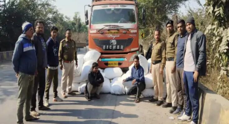 Ganja worth Rs 4.75 crore seized from a truck: Two smugglers arrested while transporting it from Odisha to Maharashtra.
