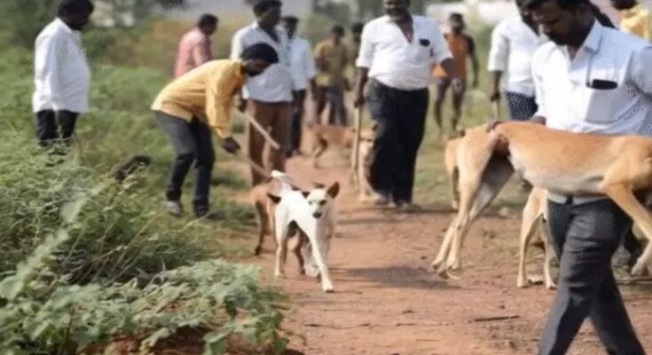 The killing of stray dogs continues in villages: 1100 deaths in one month.