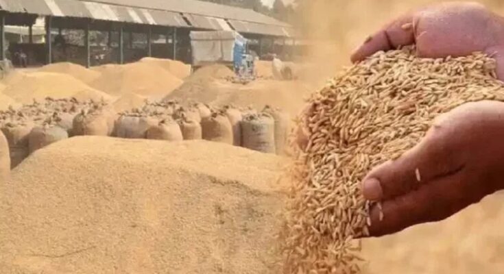 Bilaspur tops in paddy procurement, establishing a significant lead in the division.