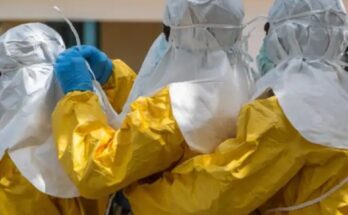 No Ebola Cases in India; Woman Arriving from Uganda Tests Negative