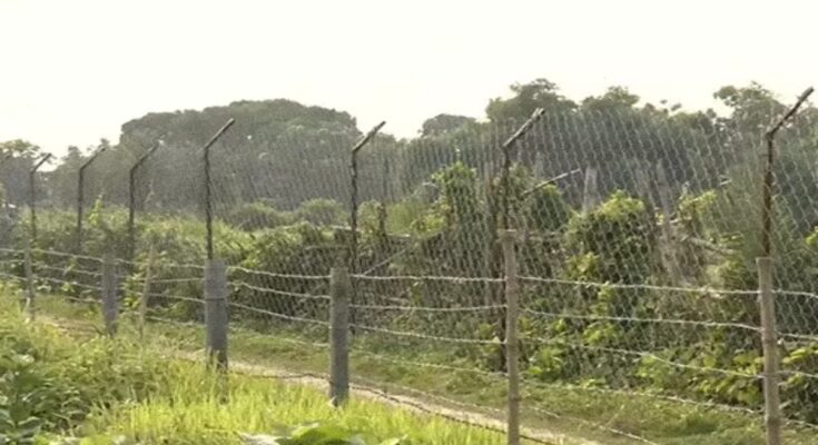 BSF Arrives to Erect Border Fencing in Bengal